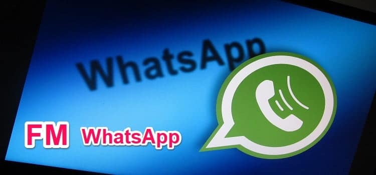 What is FM WhatsApp in Bengali ?
