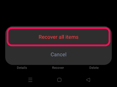 Click on recover all items
